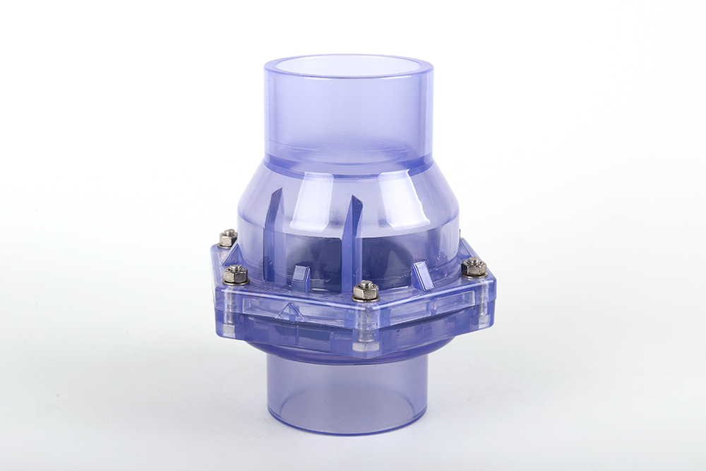 拖市镇透明翻板式止回阀